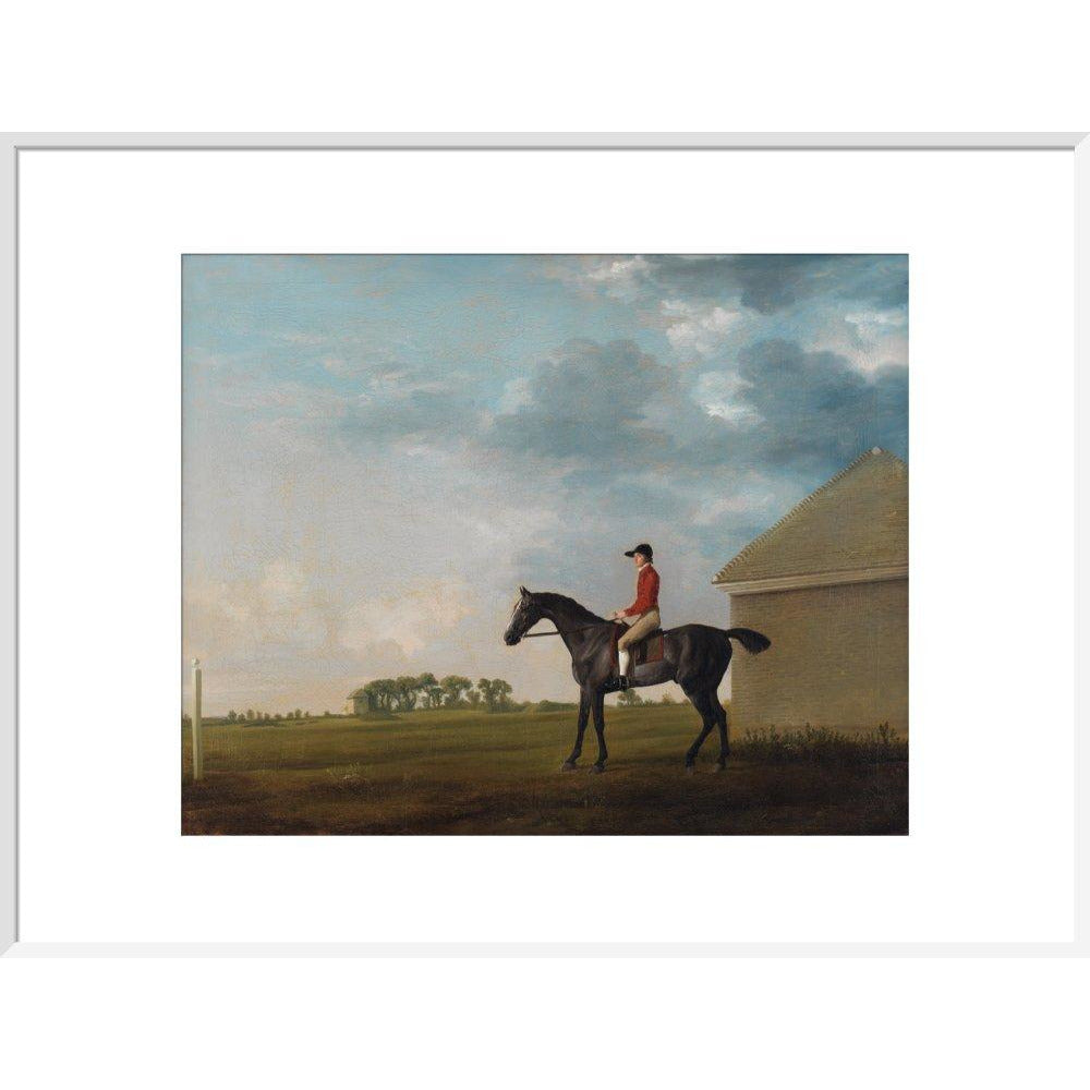 Gimcrack - Art print