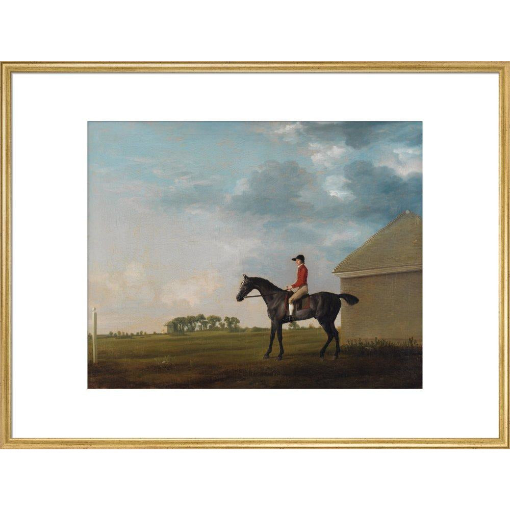 Gimcrack - Art print