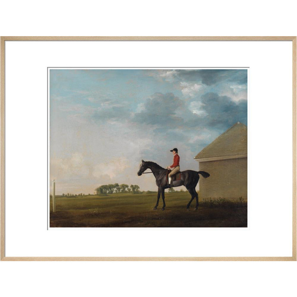 Gimcrack - Art print