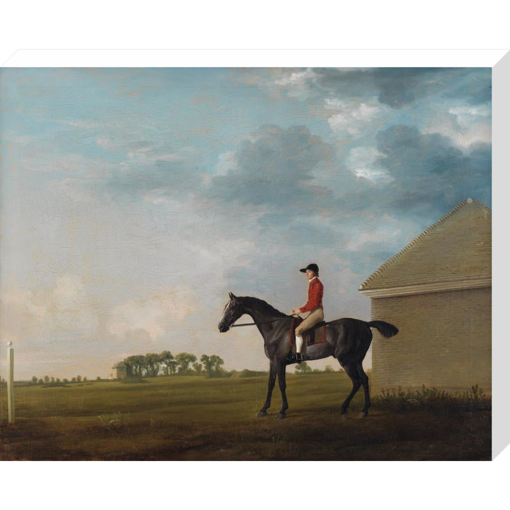 Gimcrack - Art print