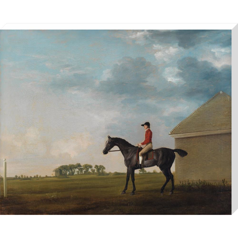 Gimcrack - Art print