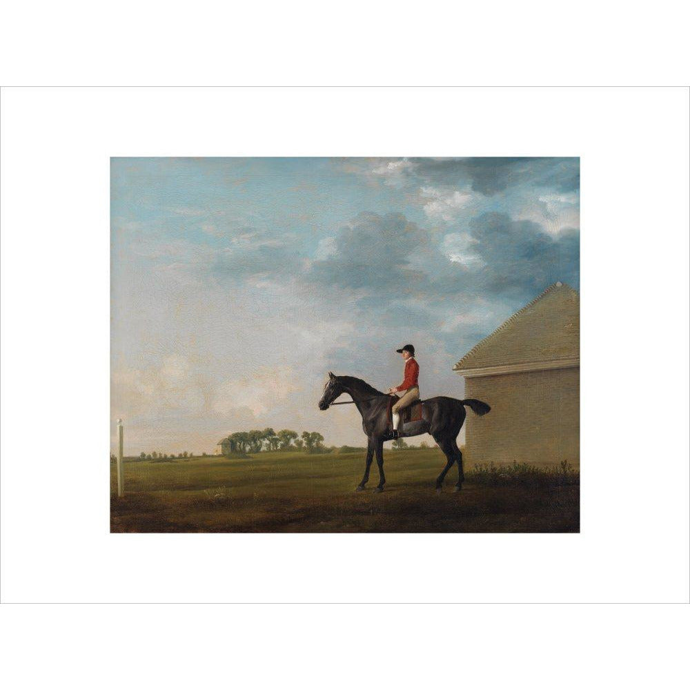Gimcrack - Art print