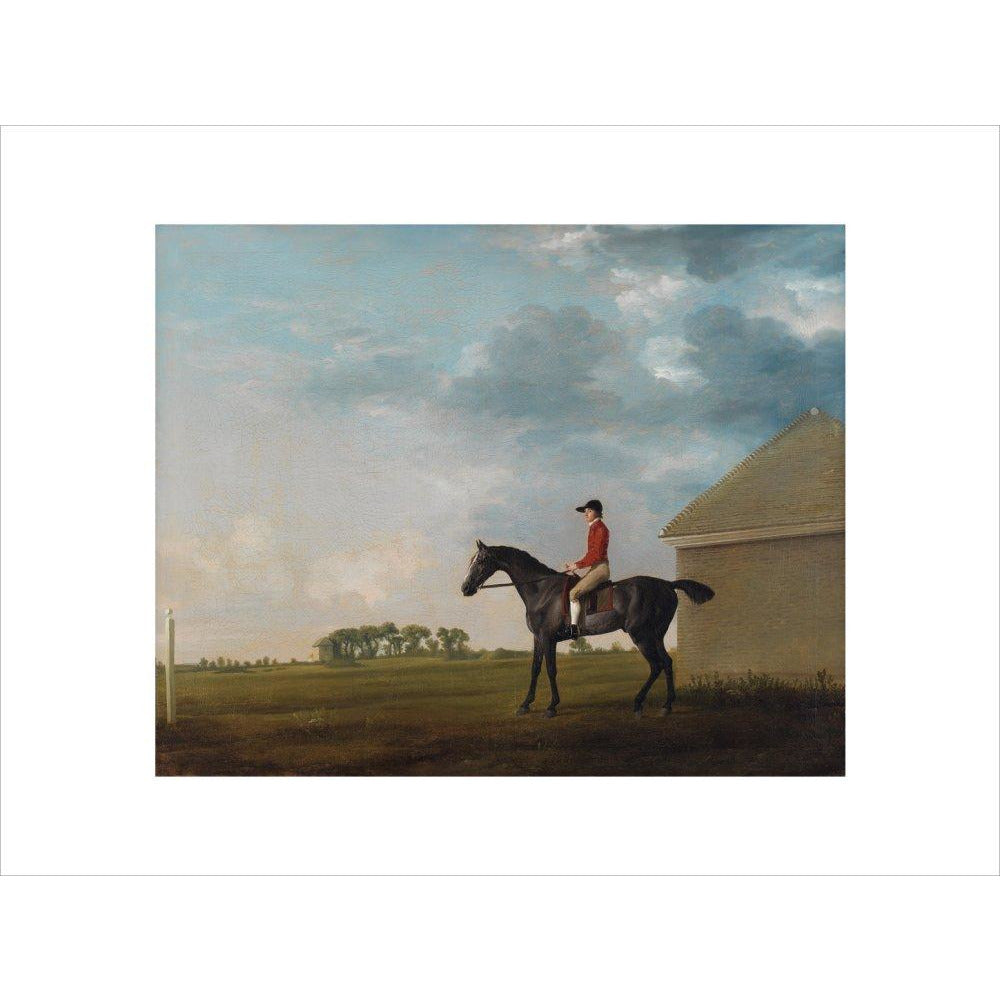 Gimcrack - Art print