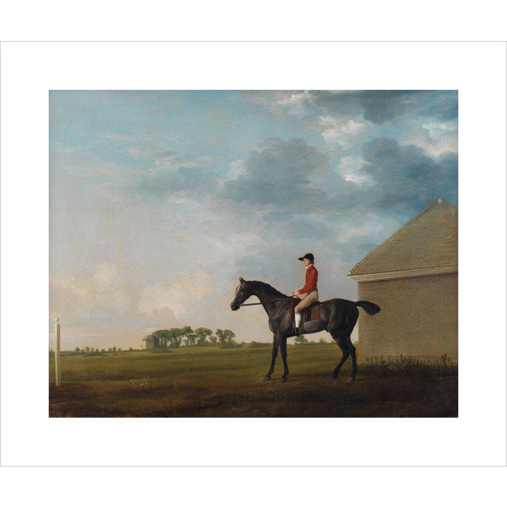 Gimcrack - Art print