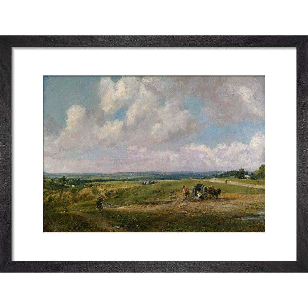 Hampstead Heath - Art print