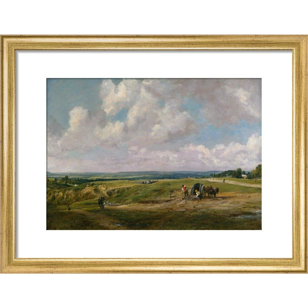 Hampstead Heath - Art print