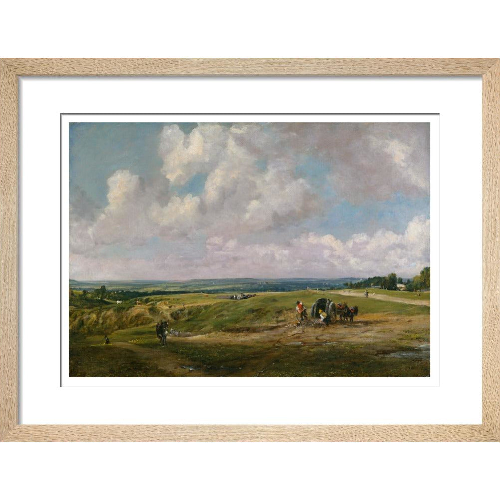 Hampstead Heath - Art print