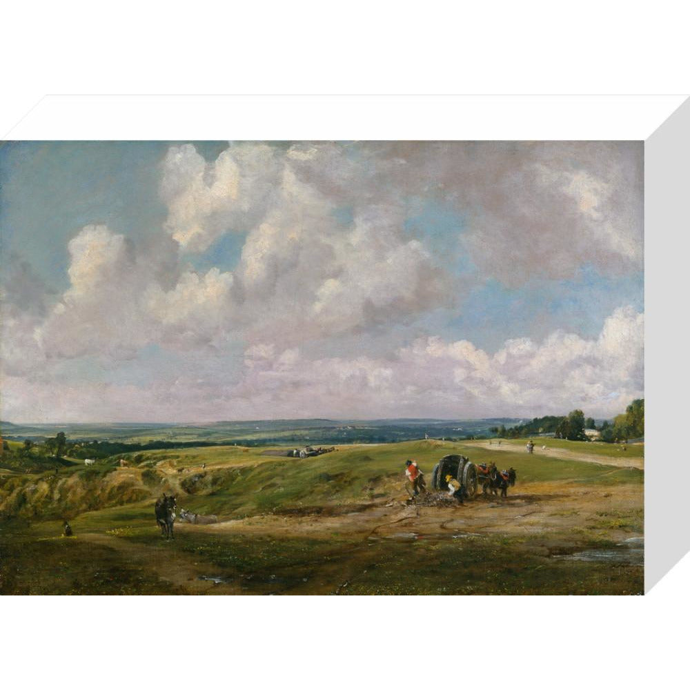 Hampstead Heath - Art print