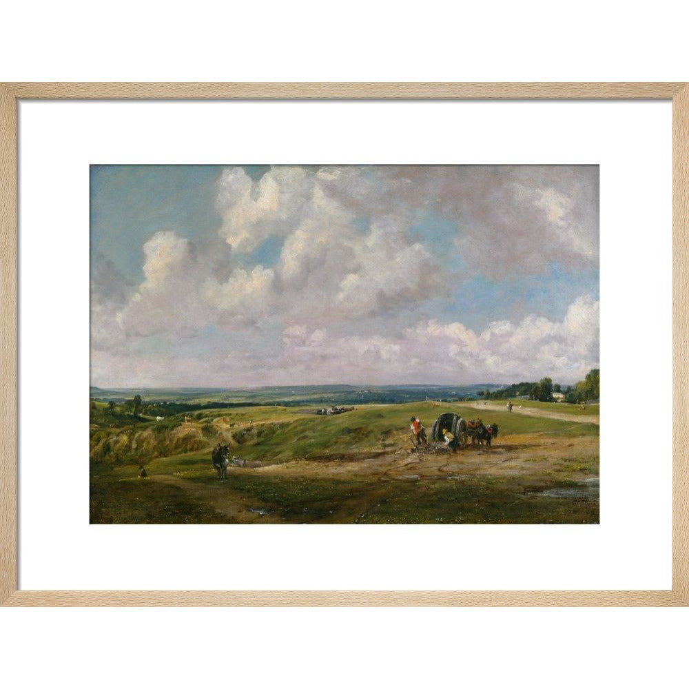 Hampstead Heath - Art print