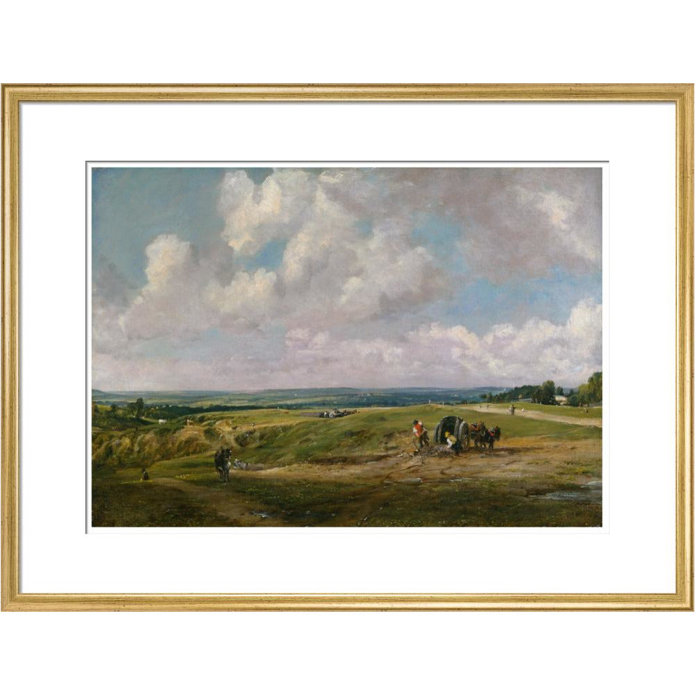 Hampstead Heath - Art print