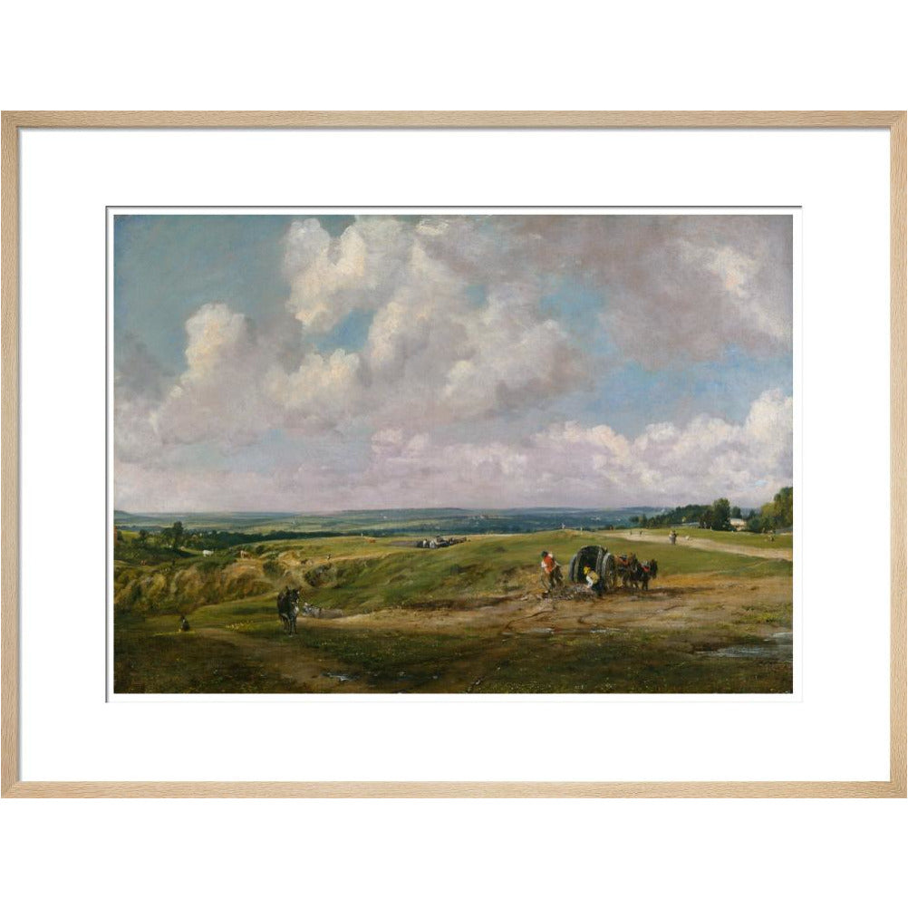 Hampstead Heath - Art print