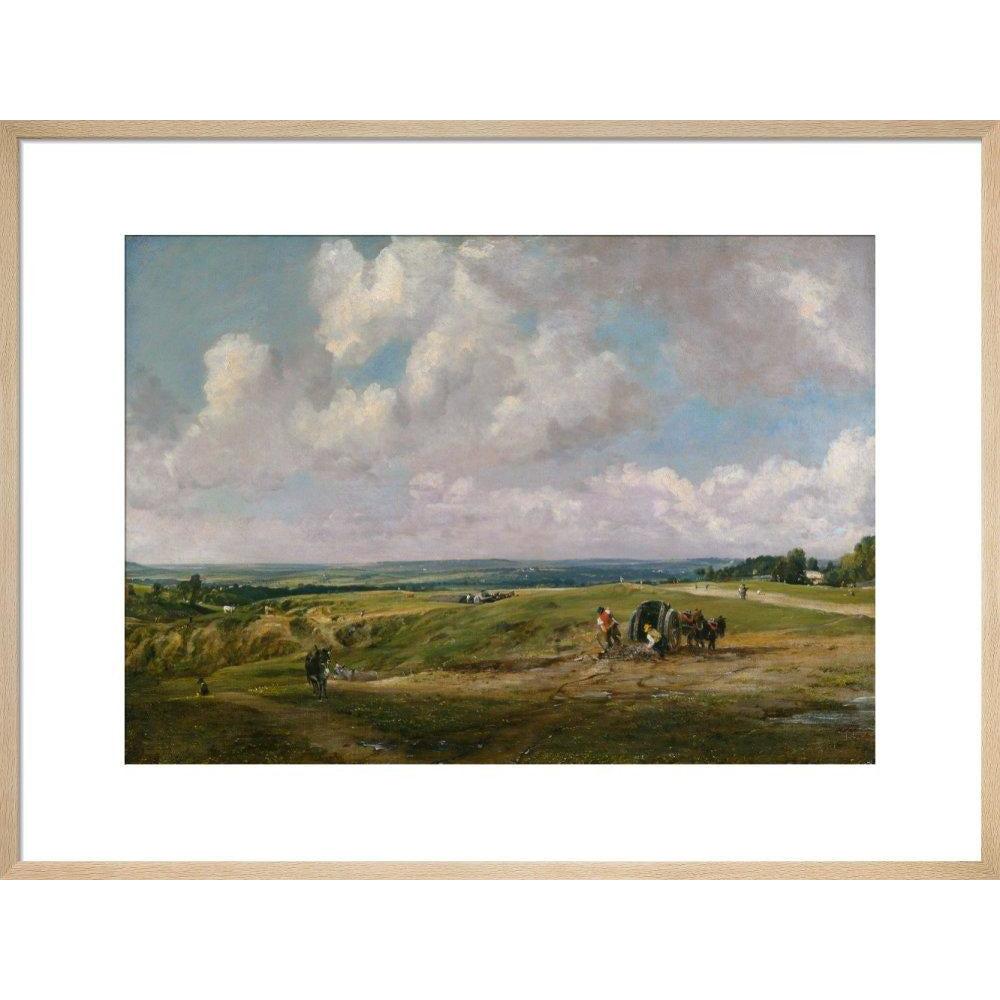 Hampstead Heath - Art print