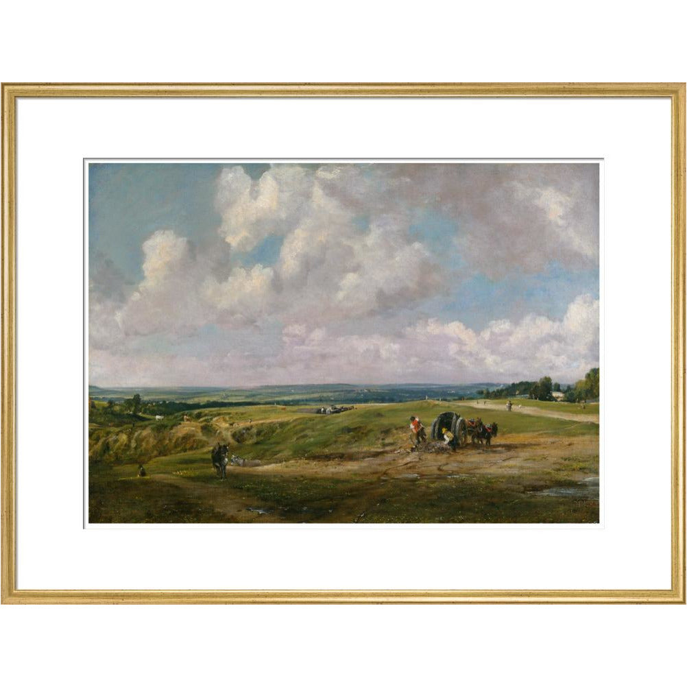 Hampstead Heath - Art print