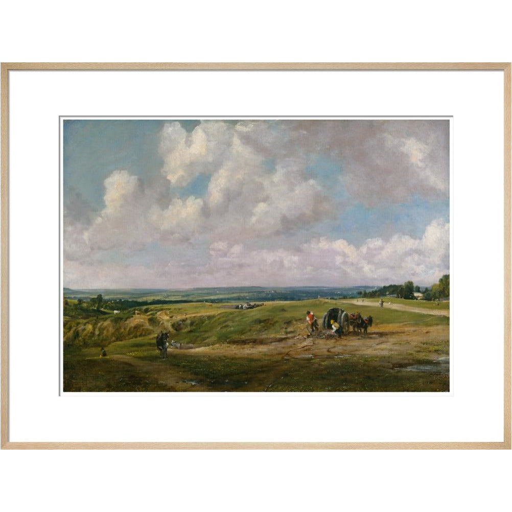 Hampstead Heath - Art print