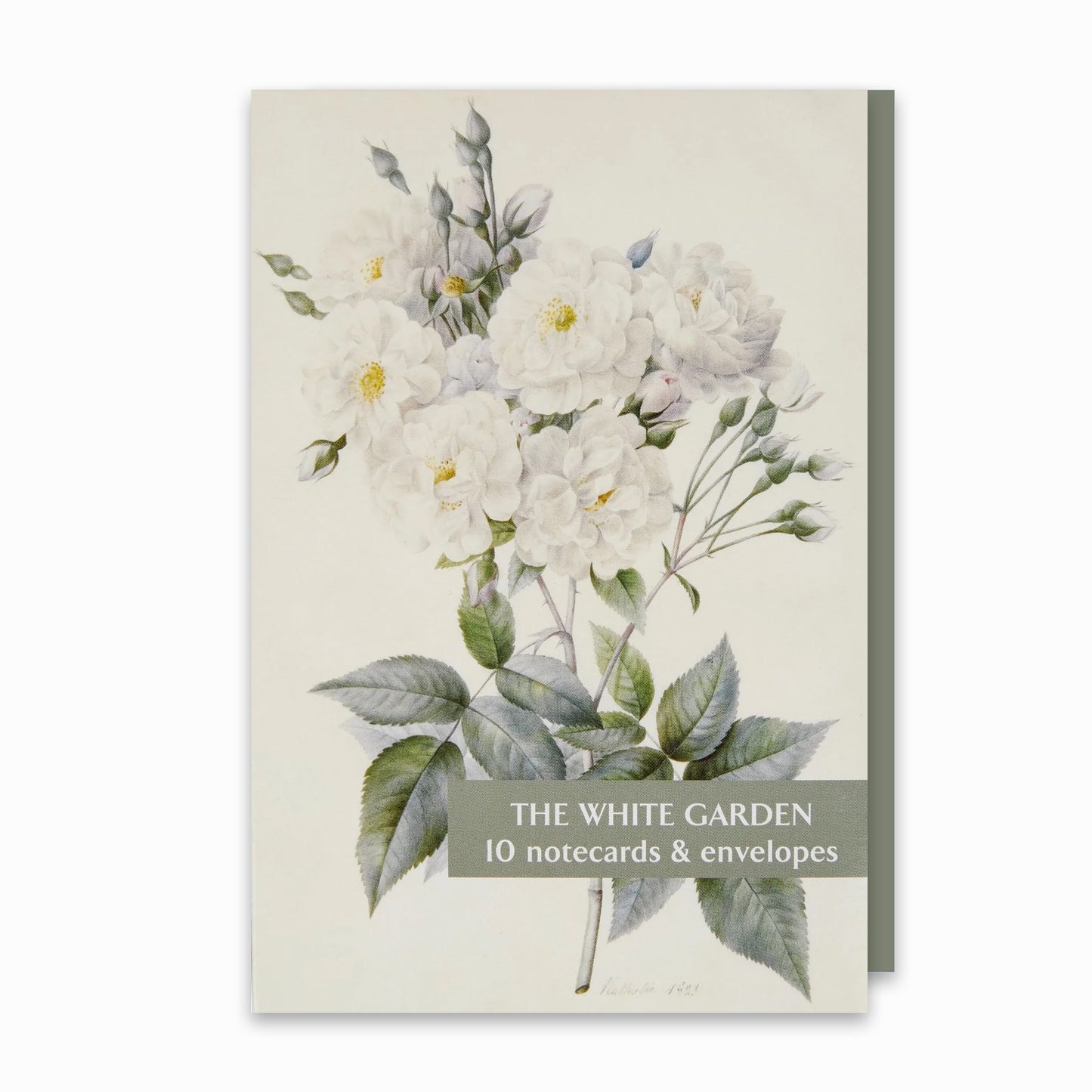 The White Garden - Notecard pack