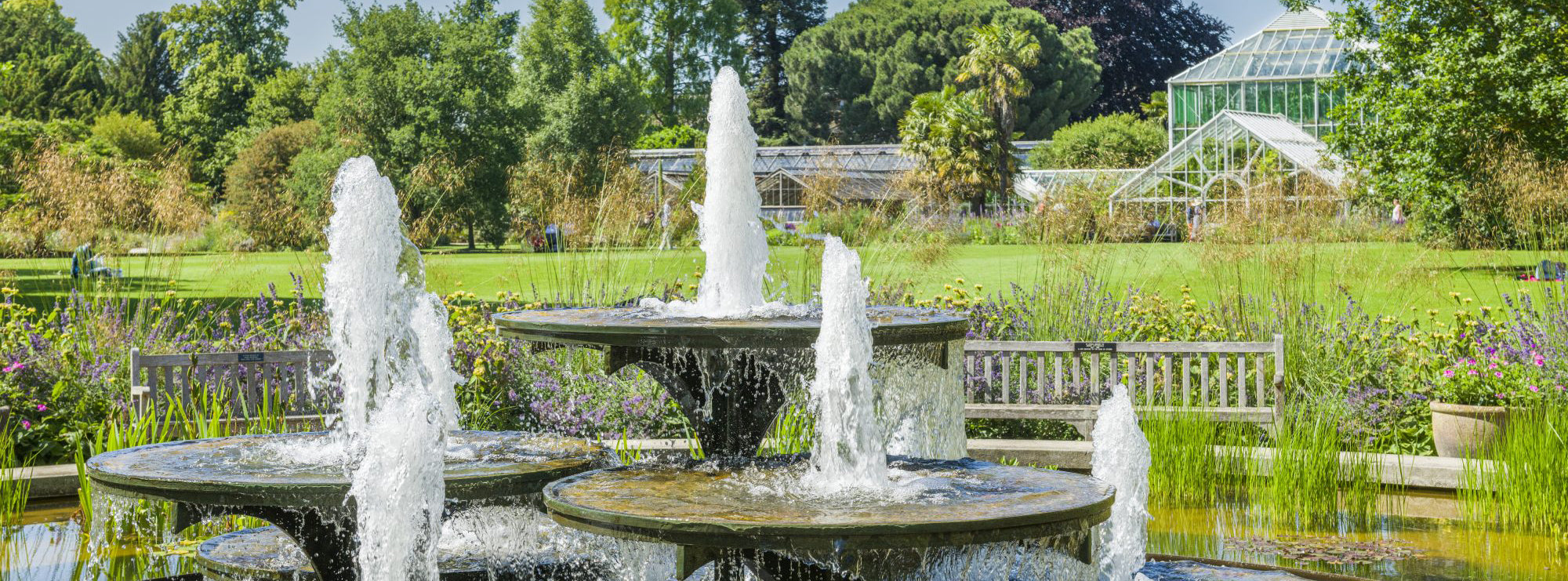 Cambridge University Botanic Garden