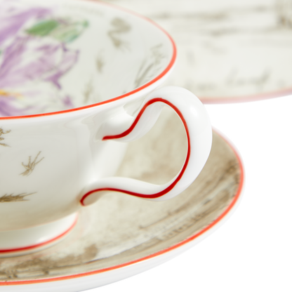 Darwin's Voyage of the Beagle: Brazil - 3 piece tea set