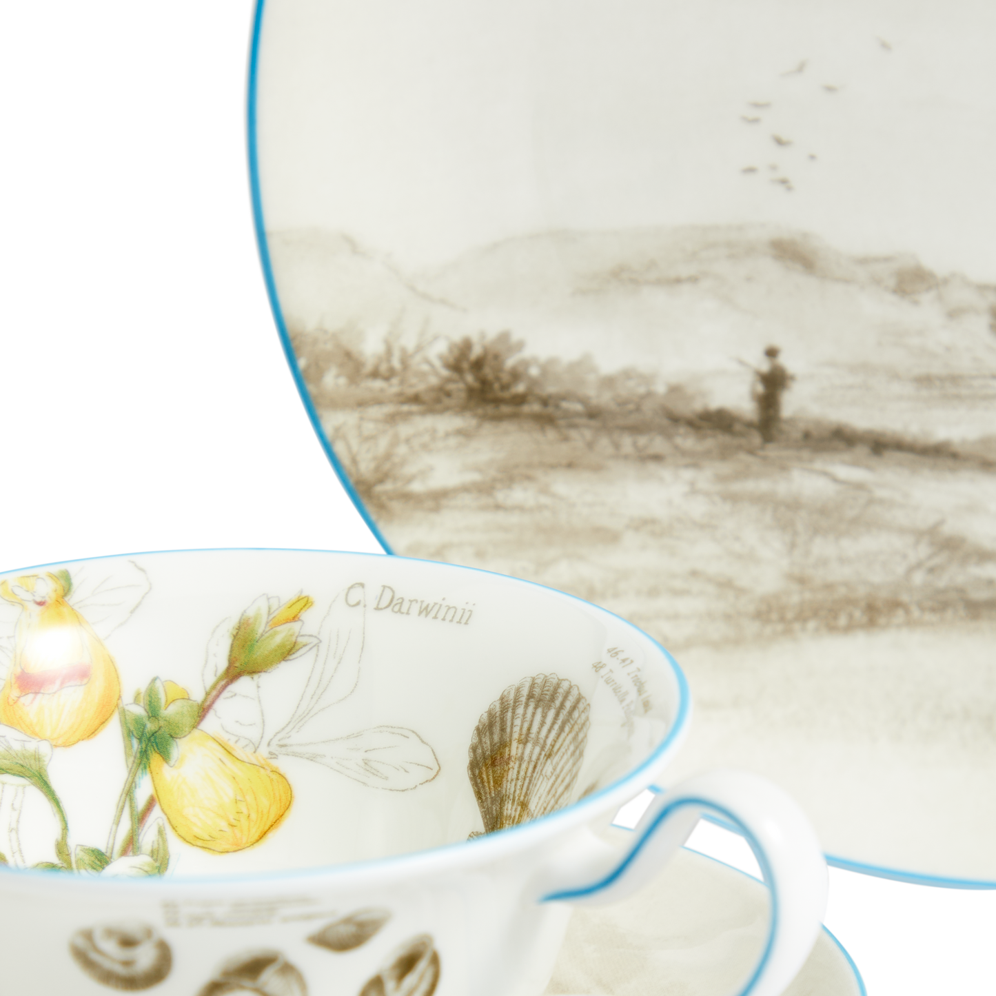 Darwin's Voyage of the Beagle: Patagonia- 3 piece tea set
