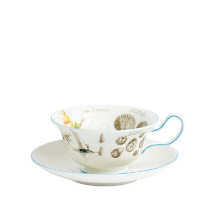 Darwin's Voyage of the Beagle: Patagonia- 3 piece tea set