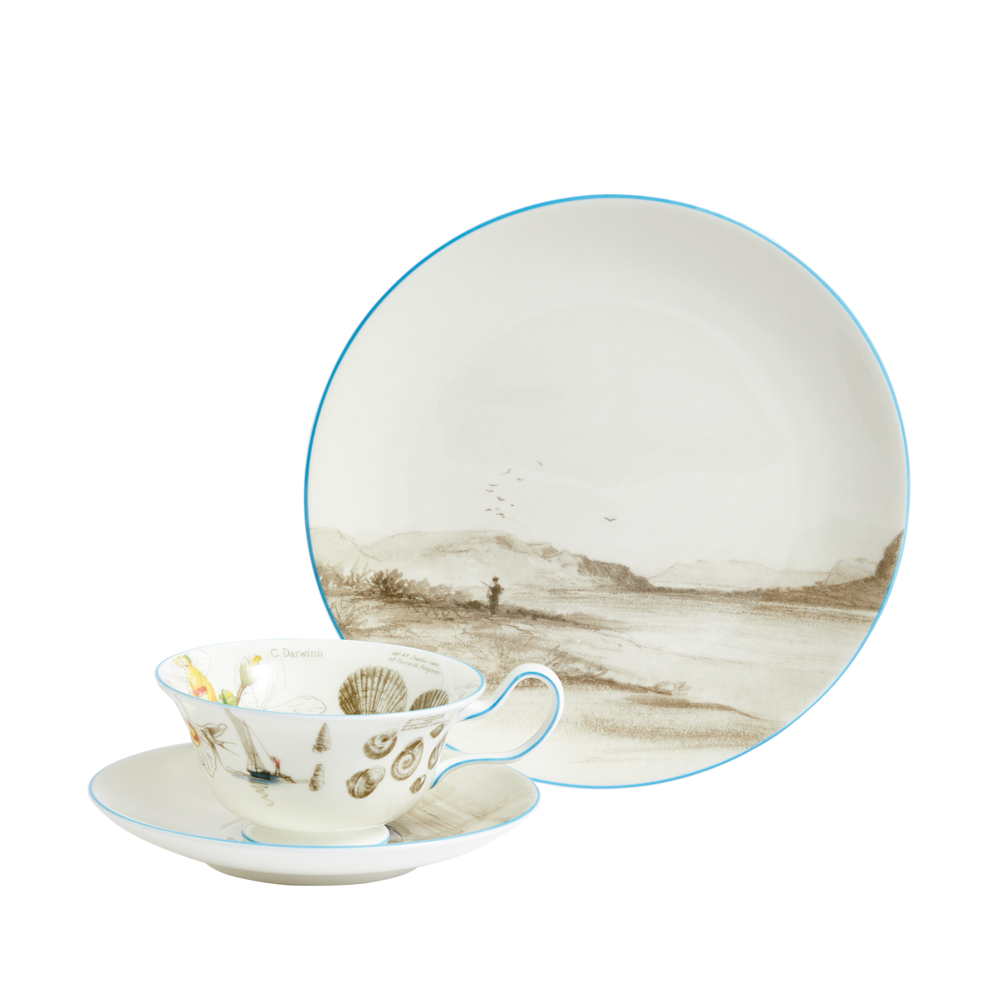 Darwin's Voyage of the Beagle: Patagonia- 3 piece tea set