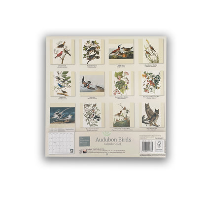 Audubon's Birds - 2024 wall calendar