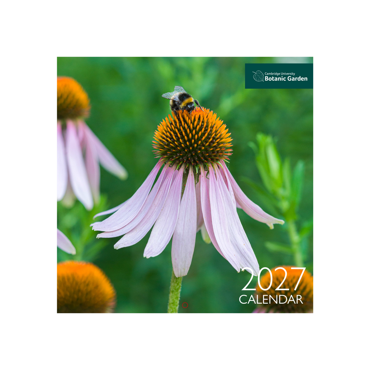 Cambridge University Botanic Garden - Wall Calendar 2027