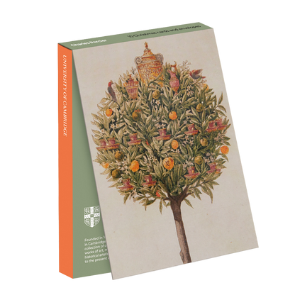 An Orange Tree - Christmas card wallet