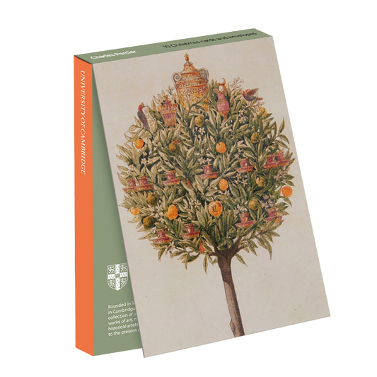 An Orange Tree - Christmas card wallet