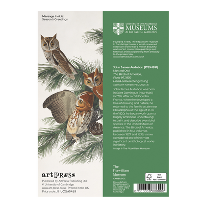 Mottled Owl - Christmas card wallet