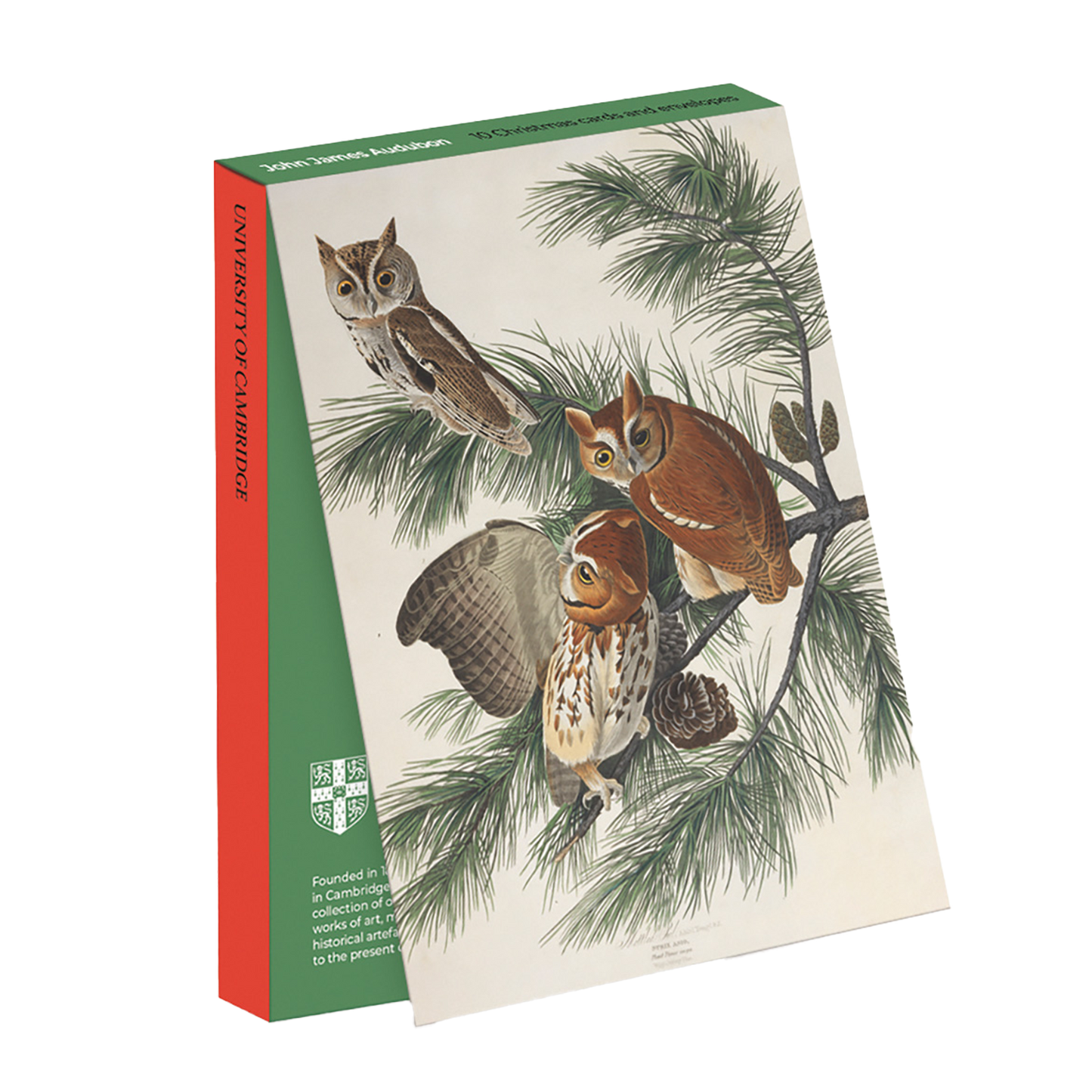 Mottled Owl - Christmas card wallet