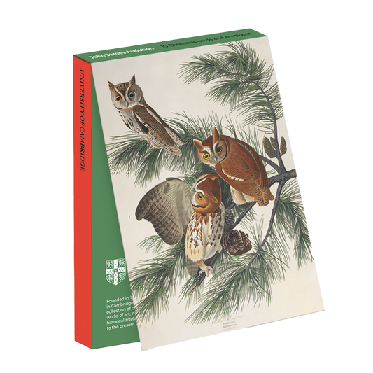 Mottled Owl - Christmas card wallet