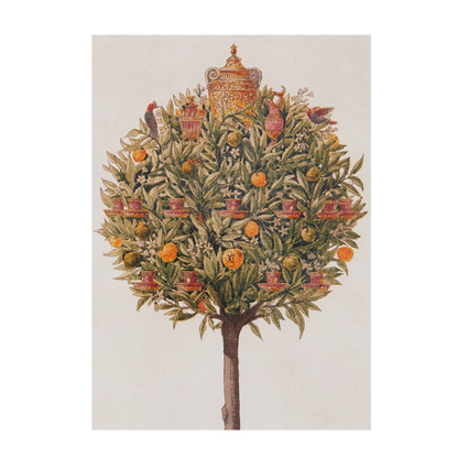 An Orange Tree - Christmas card wallet