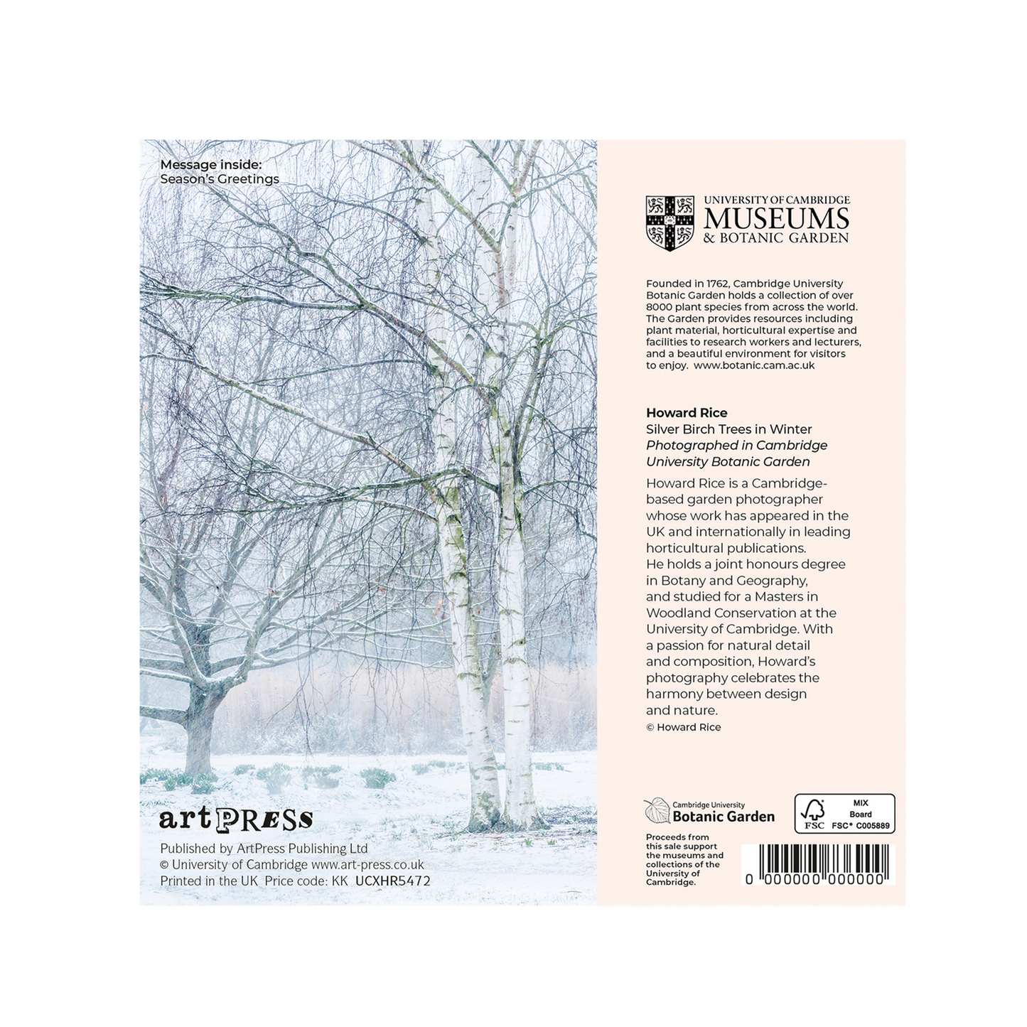 Silver Birches in Winter - Christmas card wallet