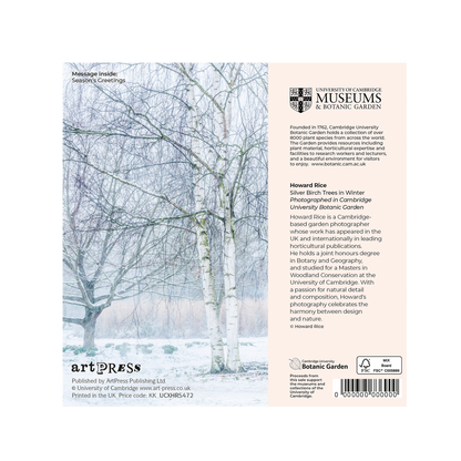 Silver Birches in Winter - Christmas card wallet