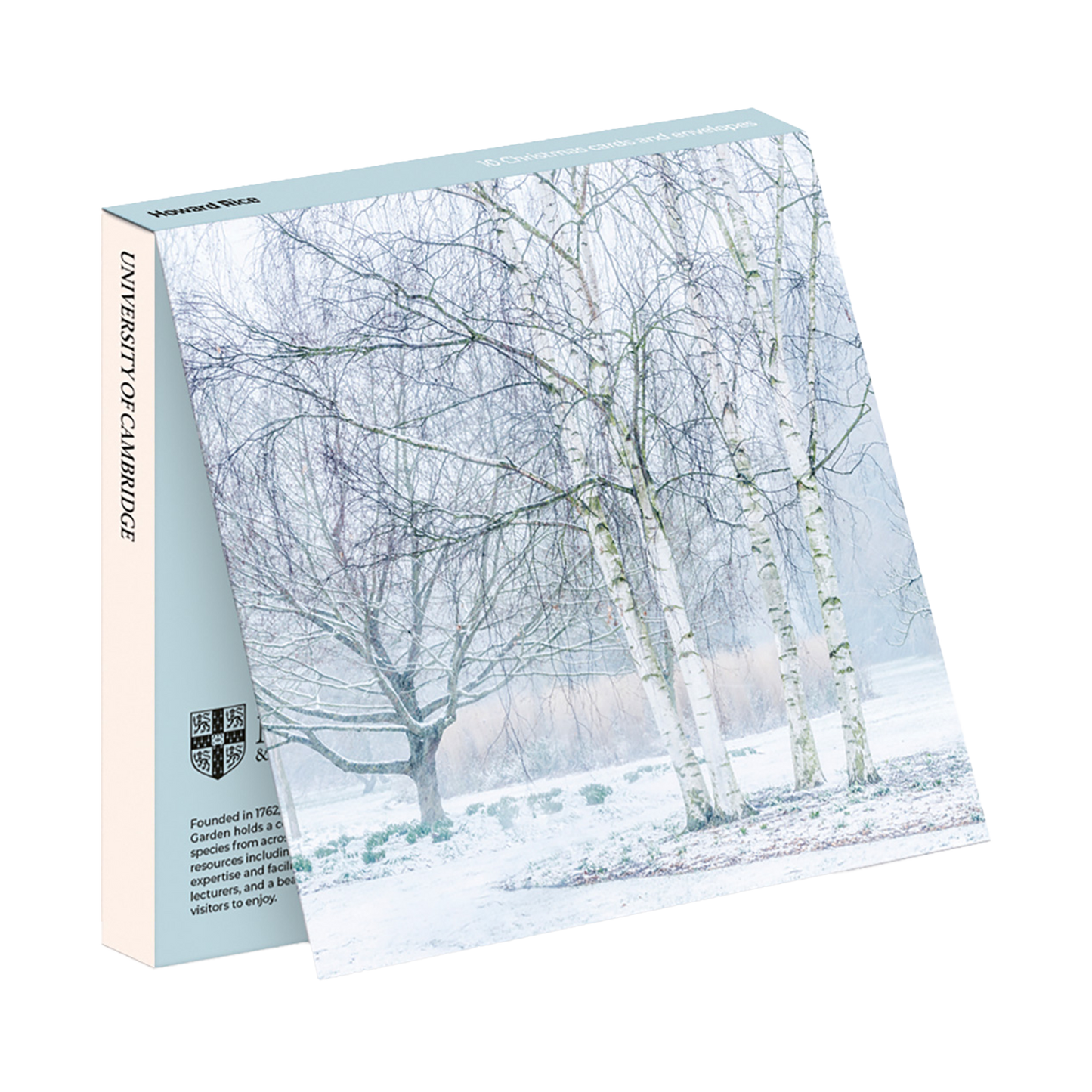 Silver Birches in Winter - Christmas card wallet