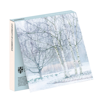 Silver Birches in Winter - Christmas card wallet