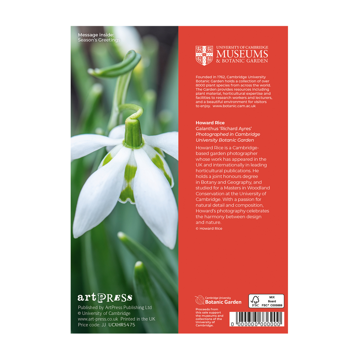 Galanthus (Snowdrop) - Christmas card wallet