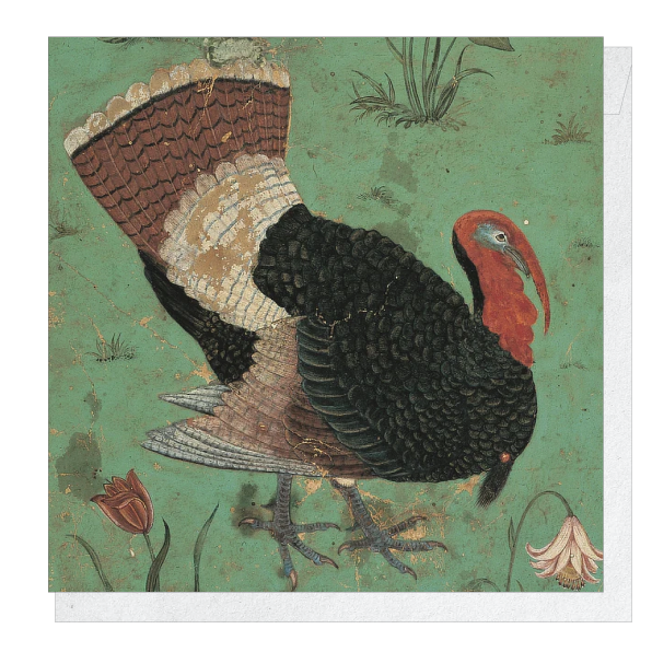 A Turkey - Christmas card pack