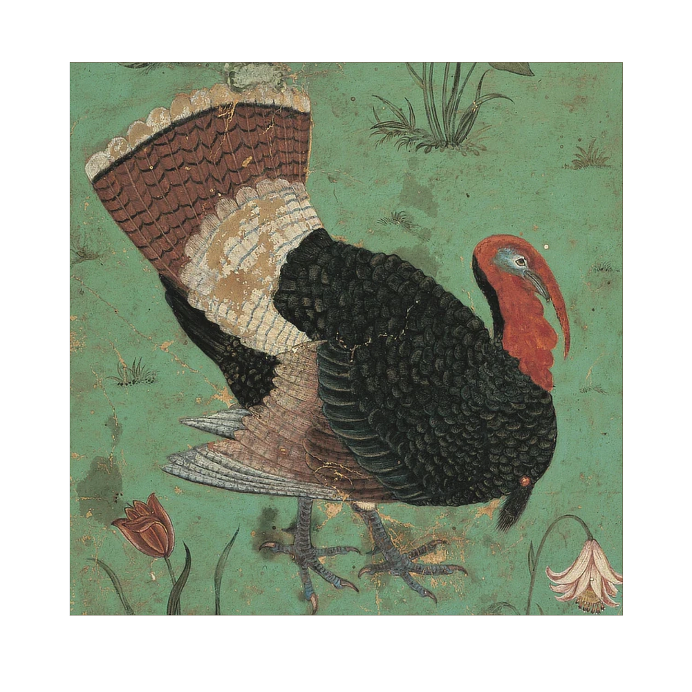 A Turkey - Christmas card pack