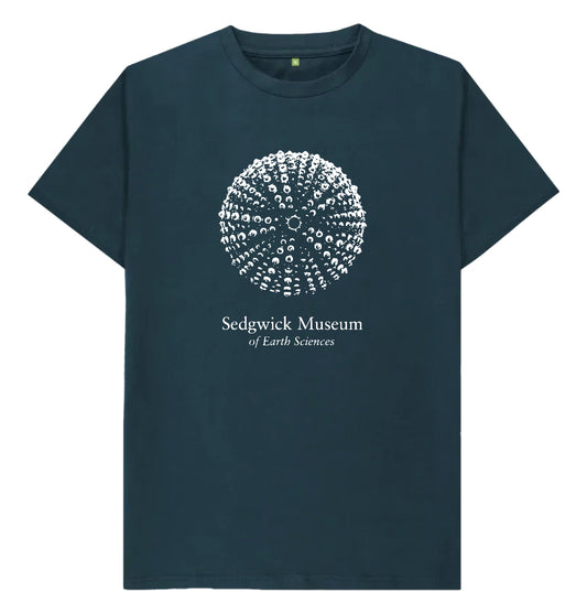 Sea Urchin on Denim Blue - T-shirt