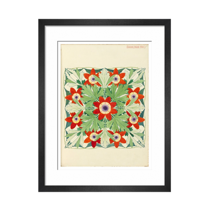 Anemone Regina Risso - Art print