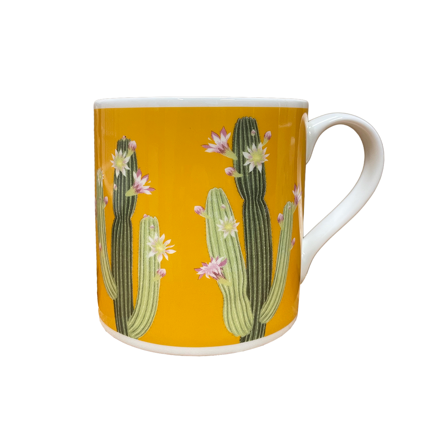 Arid Lands Cactus - Bone china mug