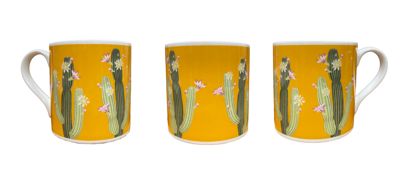 Arid Lands Cactus - Bone china mug