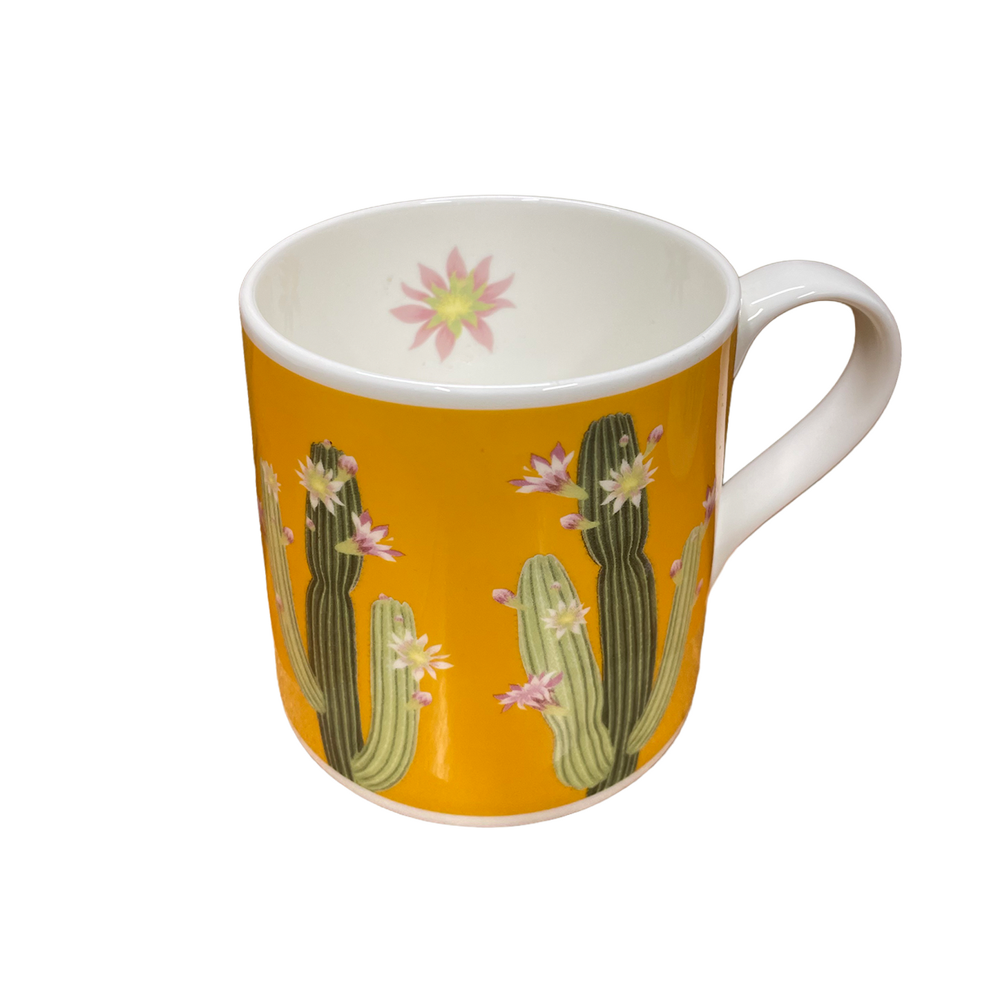 Arid Lands Cactus - Bone china mug