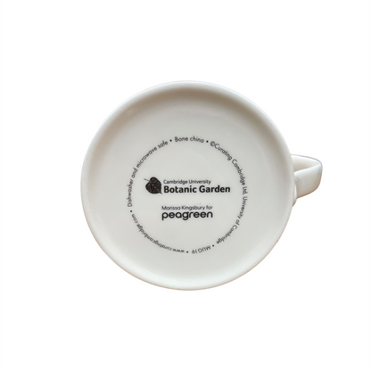 Arid Lands Cactus - Bone china mug