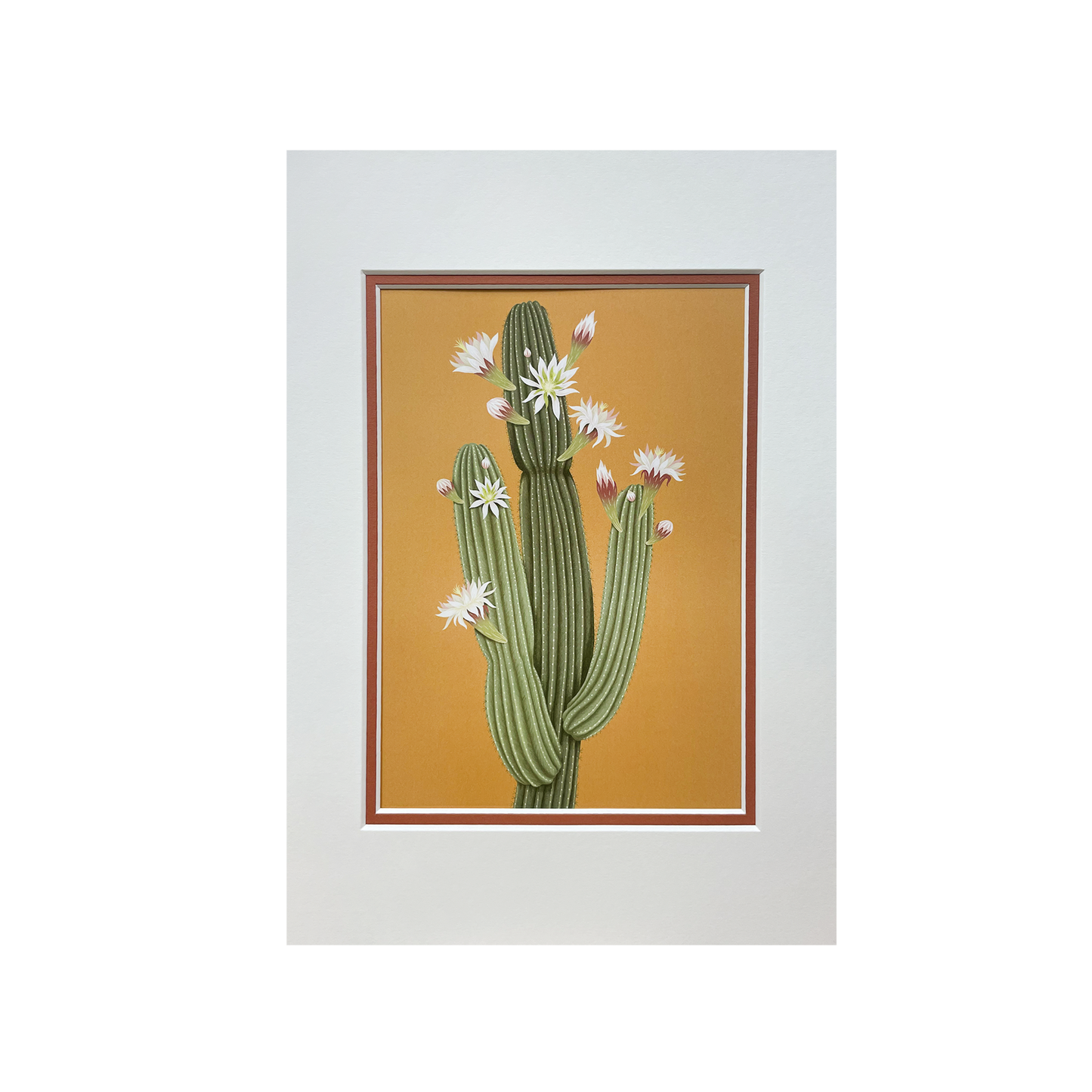 Arid Lands - Mounted Print