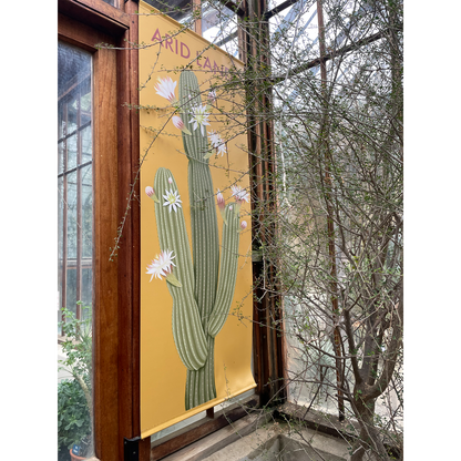 Arid Lands - Mounted Print