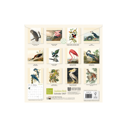 Audubon's Birds - 2027 wall calendar