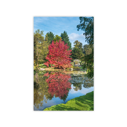 Botanic Garden Trees - Notecard pack