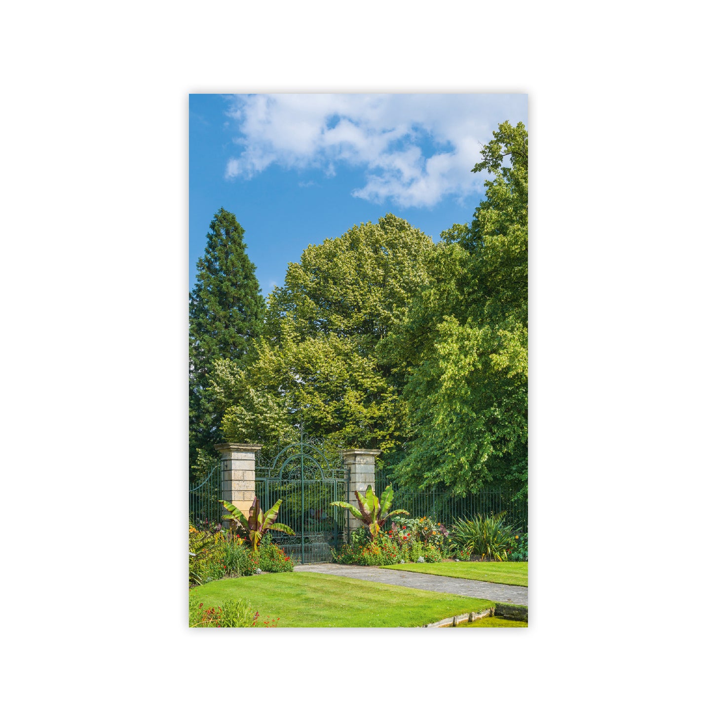 Botanic Garden Trees - Notecard pack